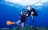 【潛水】墾丁岸潛體驗，深度徜徉南灣海洋世界！