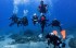 【SDI】墾丁深度潛水，開放水域潛水證照課程
