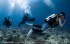 【潛水】悠游小琉球秘境水下世界，海龜伴游奇幻旅程