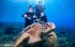 【潛水】悠游小琉球秘境水下世界，海龜伴游奇幻旅程