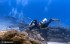 【潛水】龍洞灣側掛潛水體驗，輕鬆下水無負擔